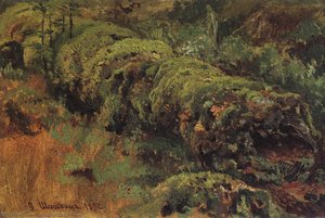 Rotten Wood, Covered With Moss — Ivan Ivanovich Shishkin, Realism