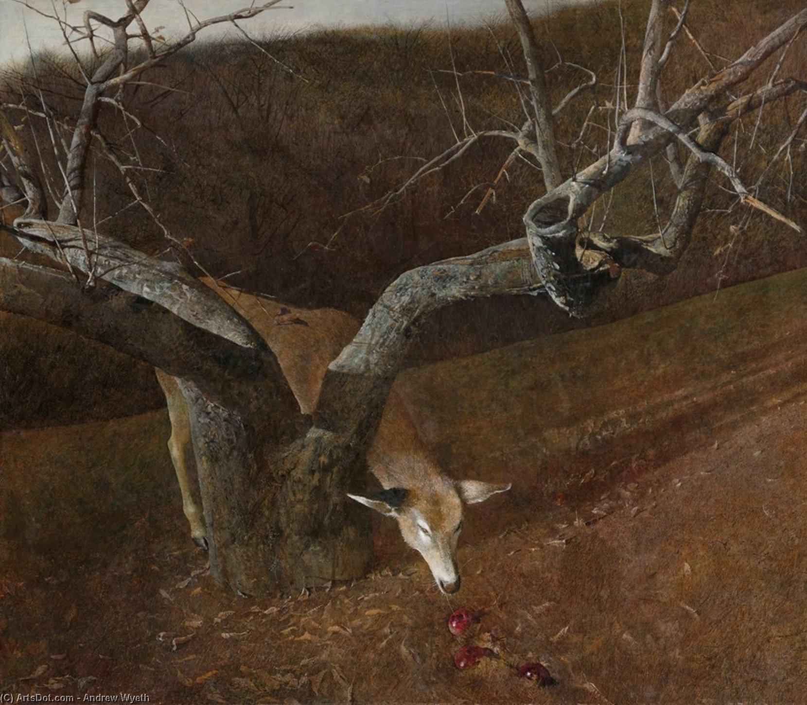 Jacklight — Andrew Wyeth