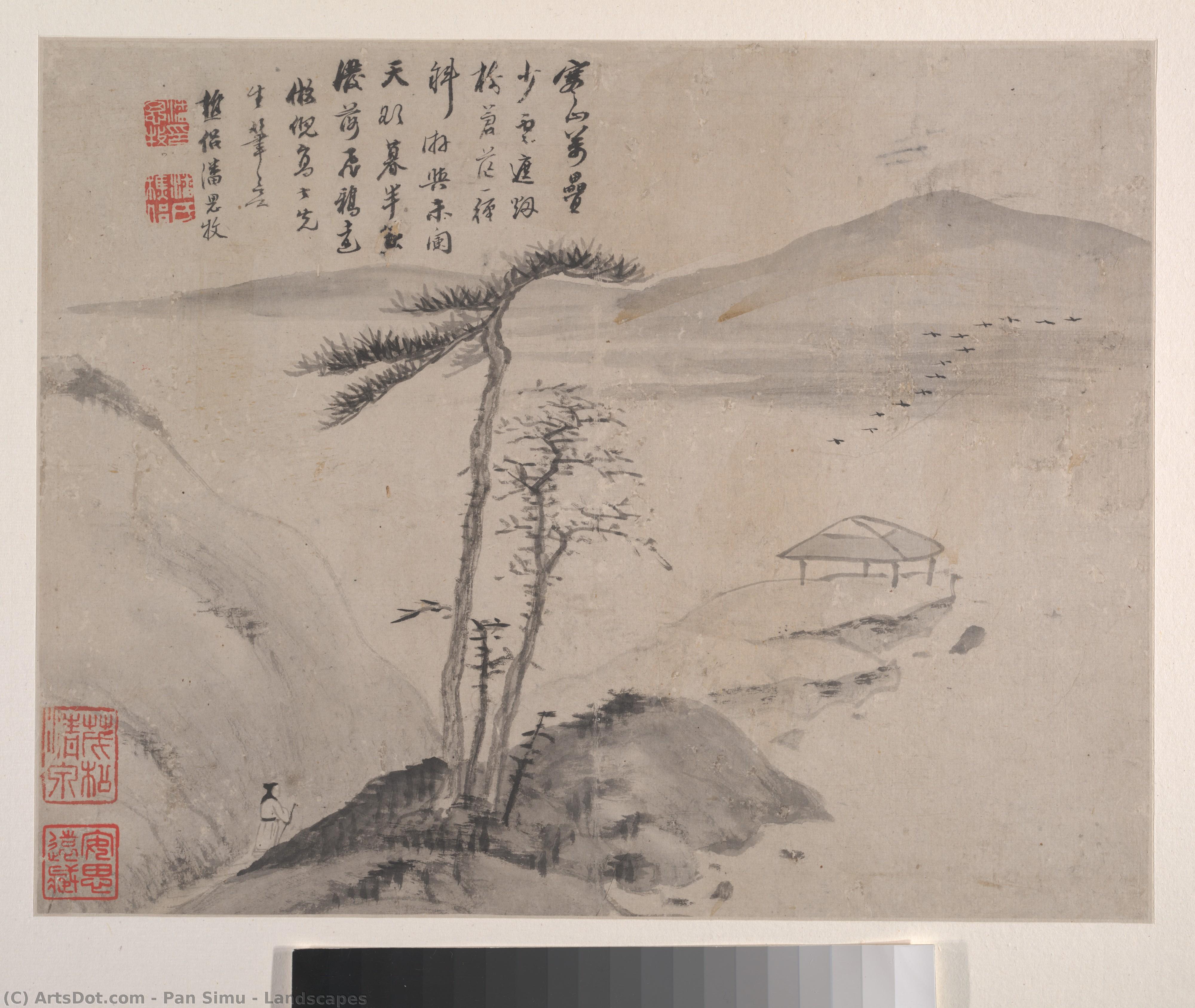 Landscapes — Pan Simu
