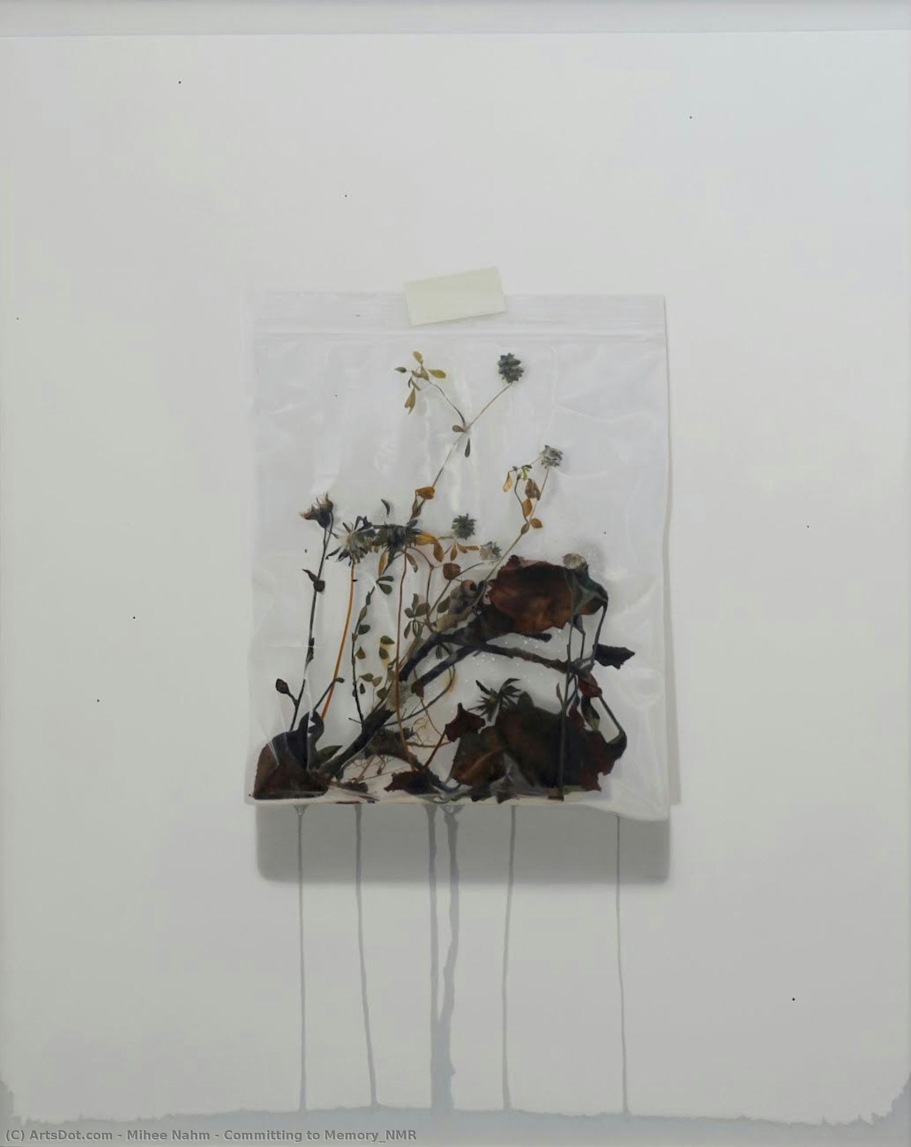 Committing To Memory_nmr — Mihee Nahm