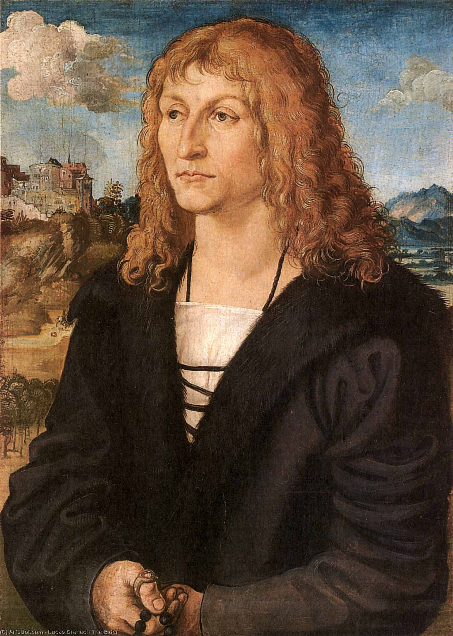 Beardless Young Man — Lucas Cranach Den Ældre