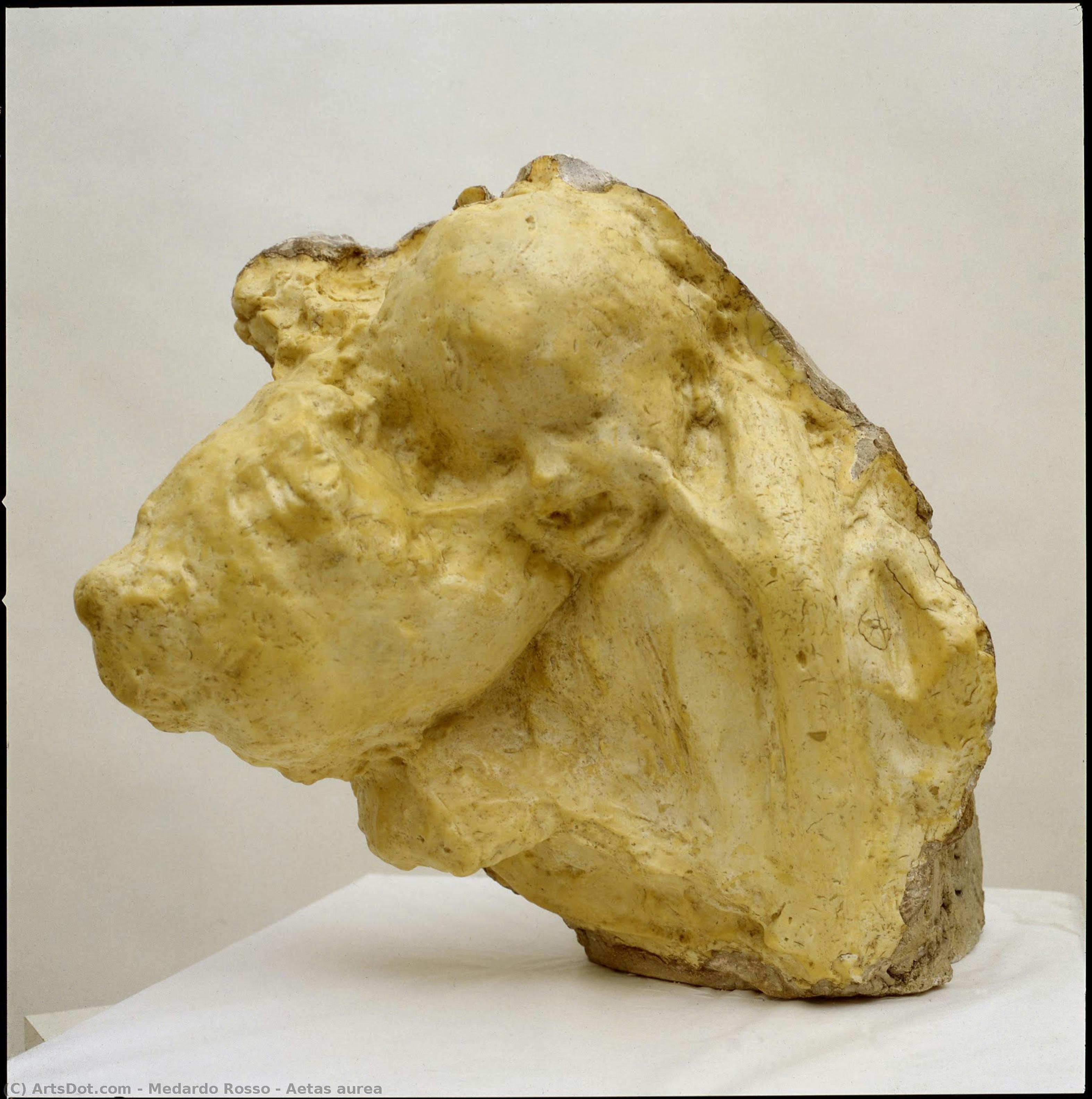 Aurea Época — Medardo Rosso
