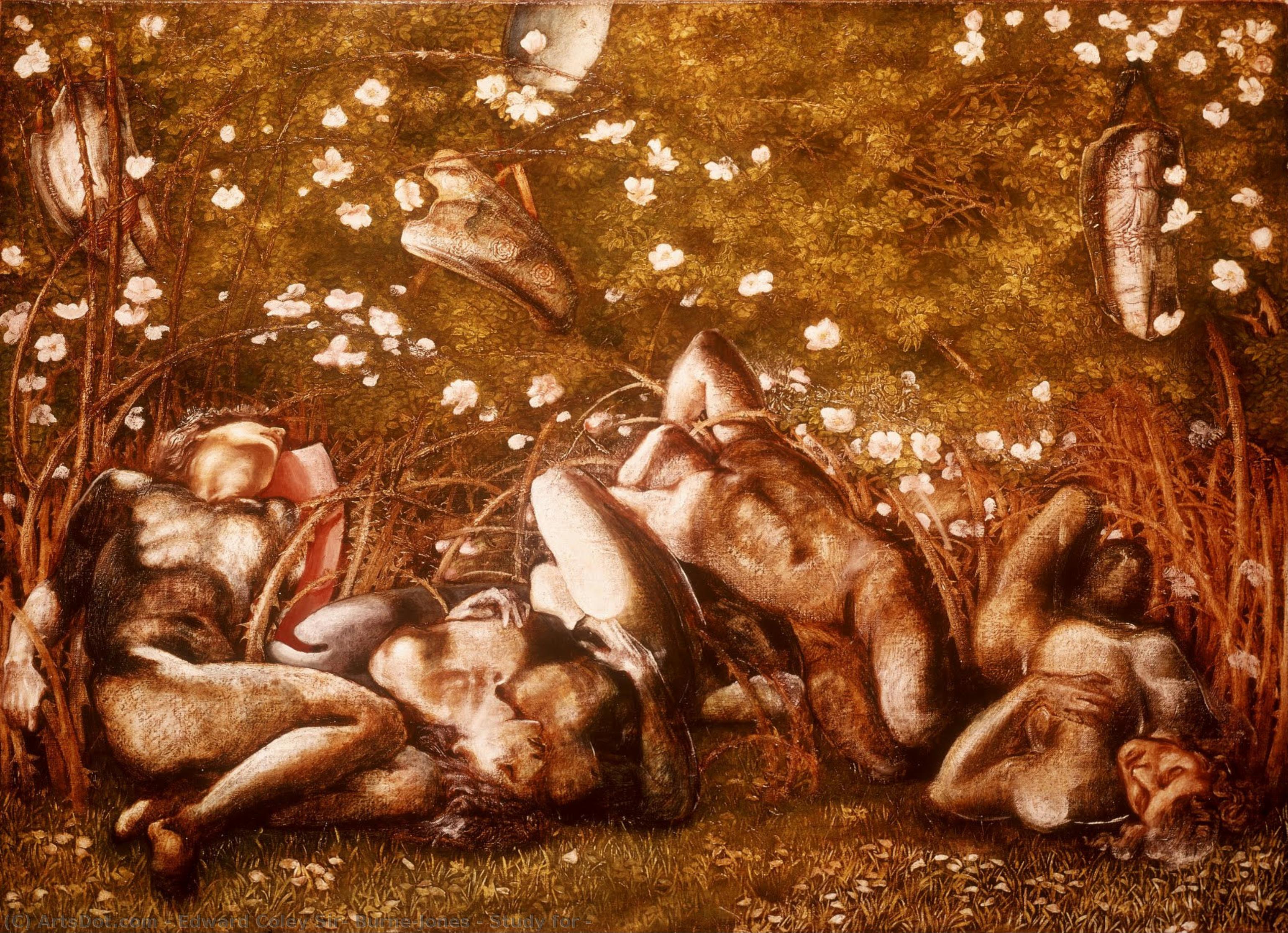 Study For — Edward Coley Burne-jones