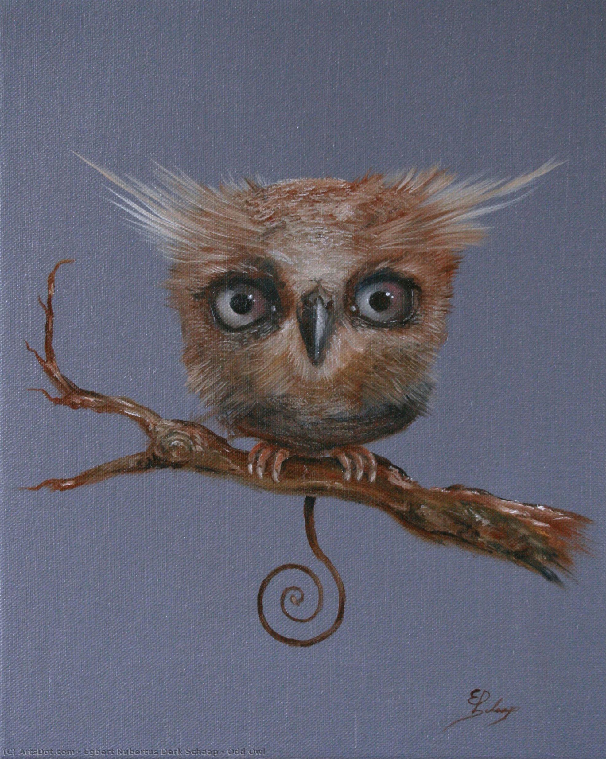 Odd Owl — Egbert Schaap