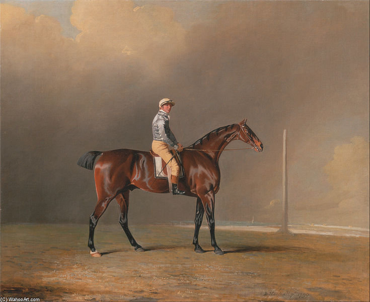 Diamond, With Dennis Fitzpatrick Up — Benjamin Marshall