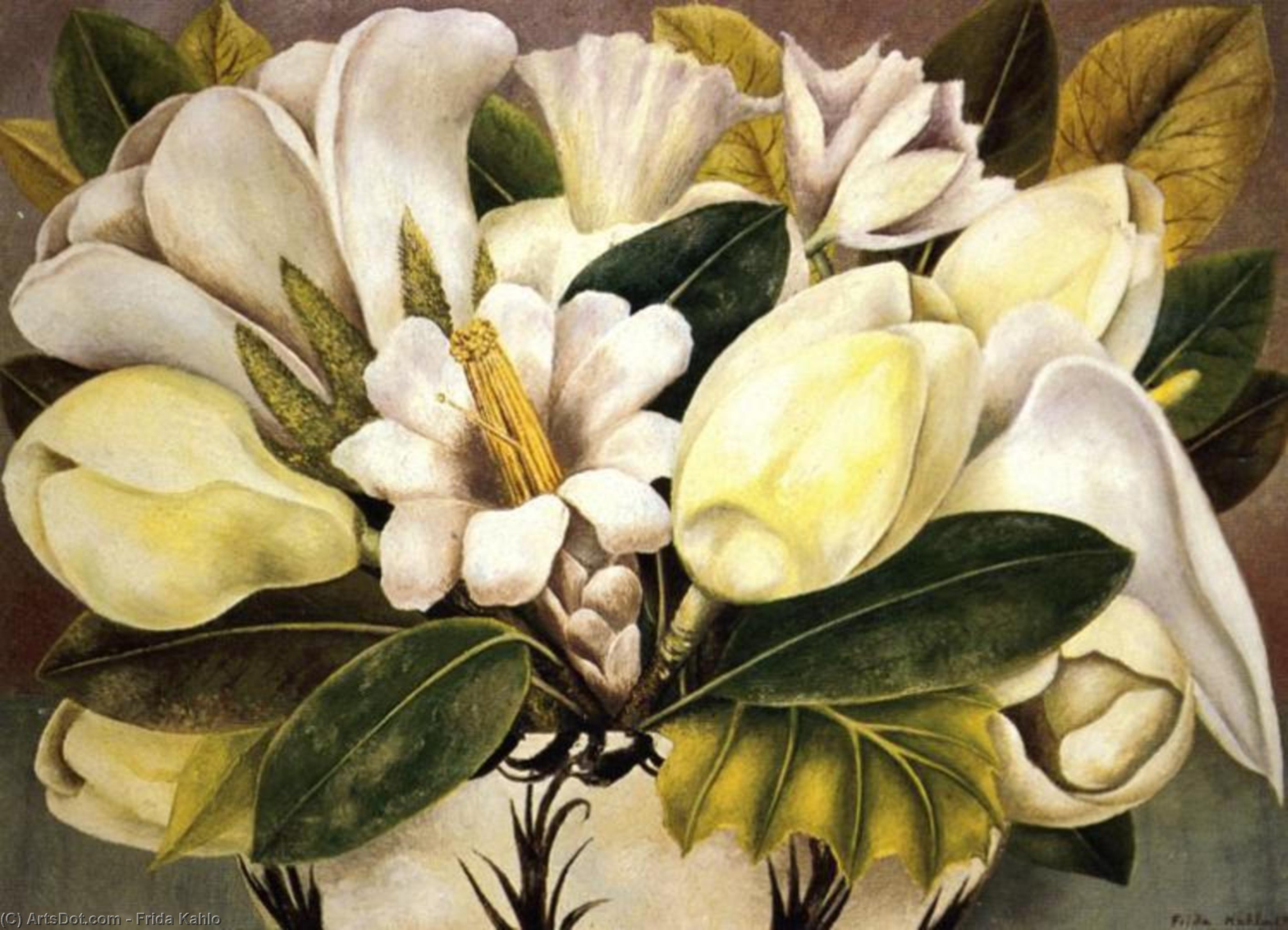 Magnolie — Frida Kahlo