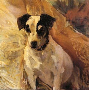 Portrait Of A Jack Russell — Joaquín Sorolla Y Bastida