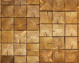 Serpentine Gallery Pavilion 2008, Hyde Park, London: Detail Of A Structural Wall Showing Timber Section — Frank Gehry