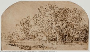 Landscape With Cottages Under Tall Trees. ( — Rembrandt Van Rijn