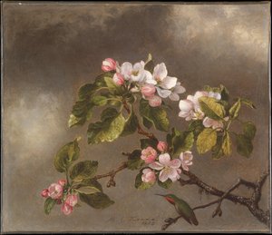 Martin Johnson Heade