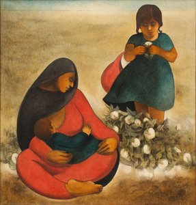 Picking Cotton