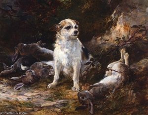 terrier ^ hares
