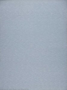 Roman Opałka