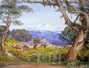 View Of Kinchinjunga From Tonglo — Marianne North