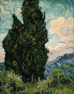 Cypresses