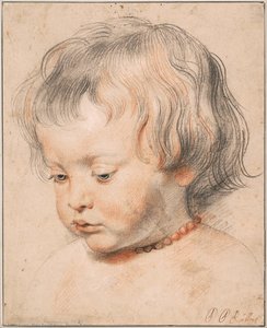 Nicolas Rubens — Peter Paul Rubens